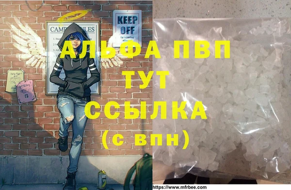 прущие грибы Анжеро-Судженск