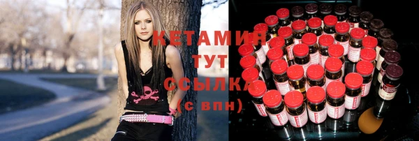 прущие грибы Анжеро-Судженск